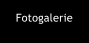 Fotogalerie